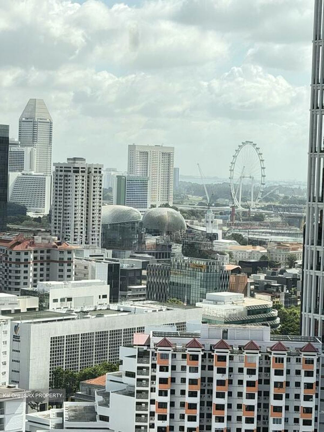 The Landmark (D3), Condominium #514788821